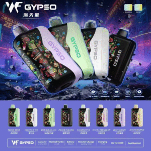 GYPSO滿天星拋棄式🪄30000口🔋王嘉爾同款bubblemon炫彩【1隻=5隻哩亞四代拋抛棄式】CP值高